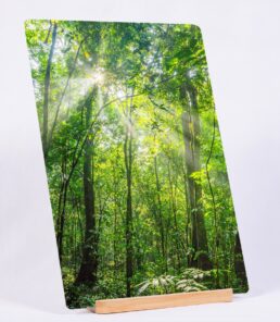 A Life Filtering Through