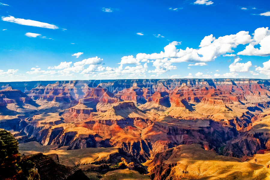 A Majestic View - Simone Amaduzzi Photography - Nature & Wildlife ...