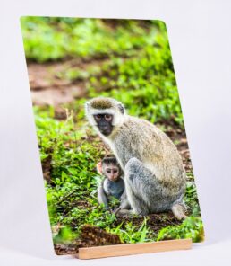 A Watchful Protection