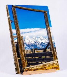 Freedom In A Frame