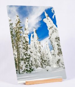 Ghost Trees