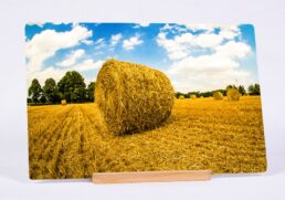 Solo Haystack