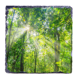 A Life Filthering Through