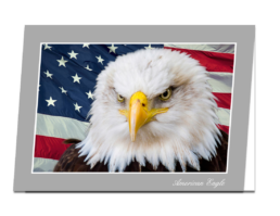 American Eagle