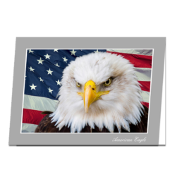 American Eagle