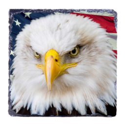 American Eagle