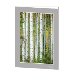 Aspens