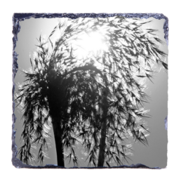 Behind The Sun