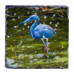 Blue Bath