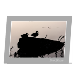 Duck-Lhouette