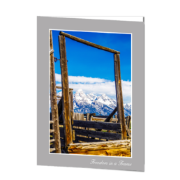Freedom In A Frame