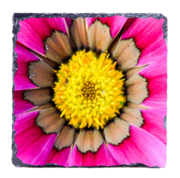 Friendly Pink