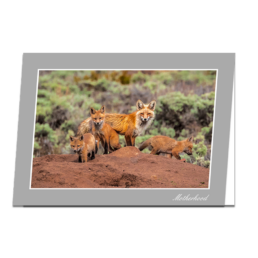 Motherhood