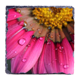 Pink Sweating