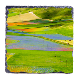 Pot-Pourri Of Colors