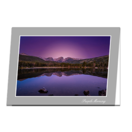 Purple Morning