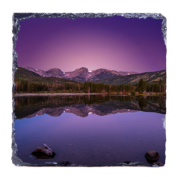 Purple Morning