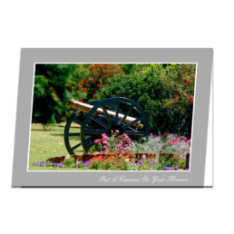 Put A Cannon On Your Flowers