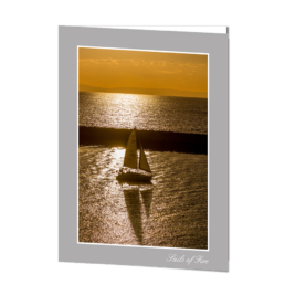 Sails Of Fire