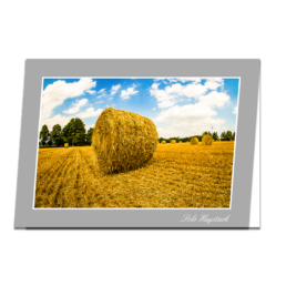 Solo Haystack