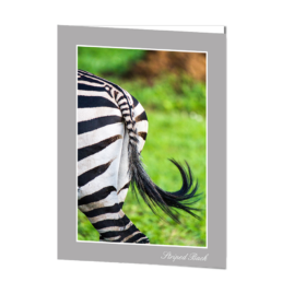 Striped Back
