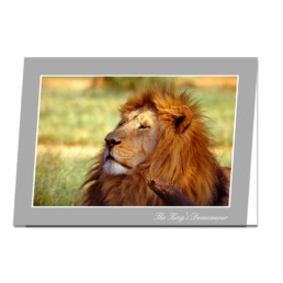 The King's Demeanour