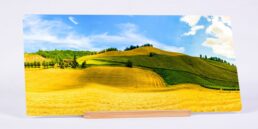 Golden Field