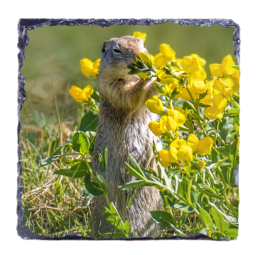 Mmm Spring!