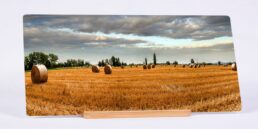 The Land Of Hay