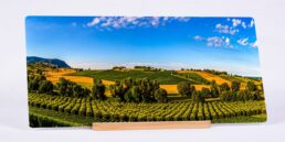 The Wine Route