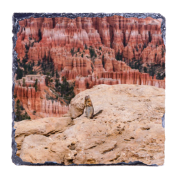 Greetings From Bryce