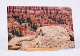 Greetings From Bryce