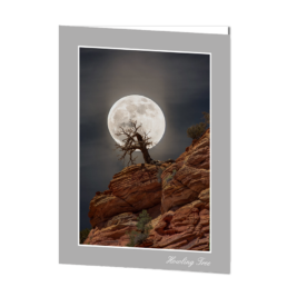 Howling Tree