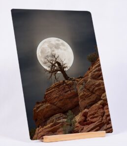 Howling Tree