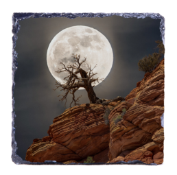 Howling Tree