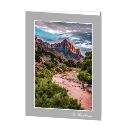 The Watchman