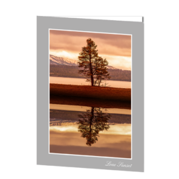 Lone Sunset