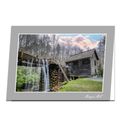 Mingus Mill