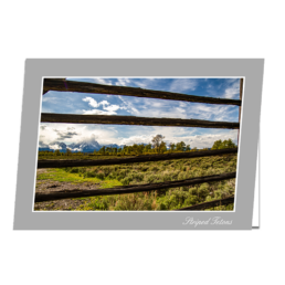 Striped Tetons