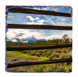 Striped Tetons