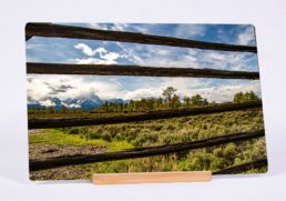Striped Tetons
