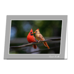 Tweet To Me