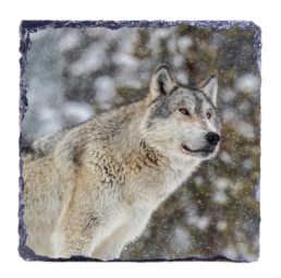 Mighty Wolf