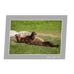 Relax Mode On
