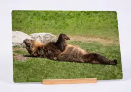 Relax Mode On
