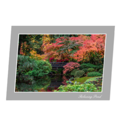 Relaxing Pond