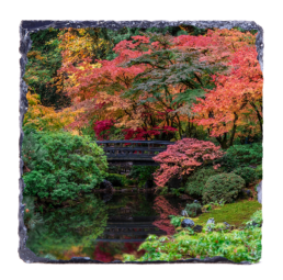 Relaxing Pond