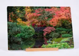 Relaxing Pond