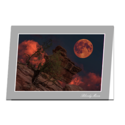Bloody Moon