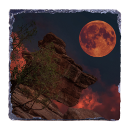 Bloody Moon